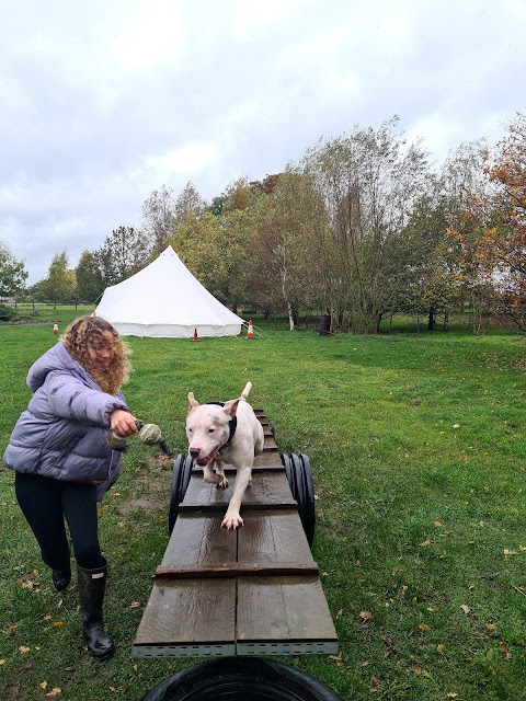 Unleashed Dog Adventure Park