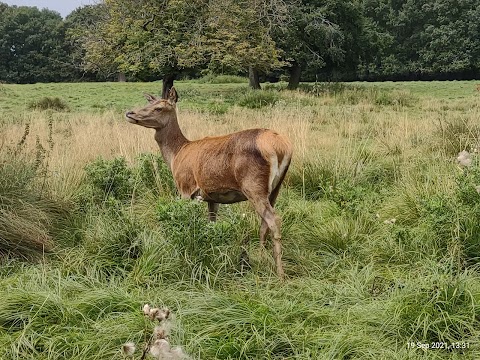 Essex Wildlife Trust, Bedfords Park Nature Discovery Centre