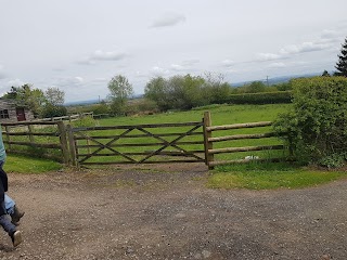 Wild Meadow Boarding Kennels