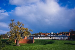 Holly Trees Primary School