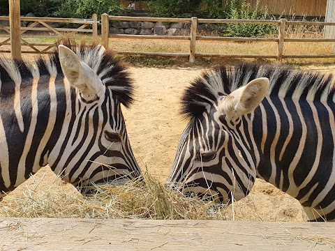 Paradise Wildlife Park