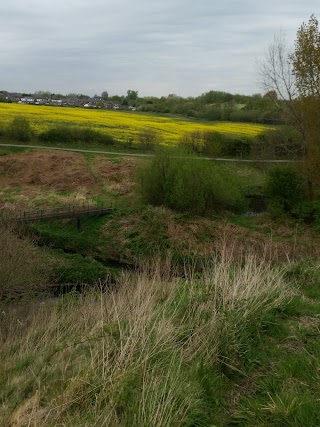 Broad Oak Basin