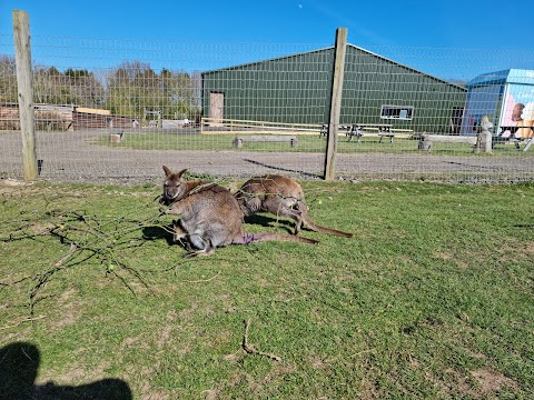 Northumberland Zoo