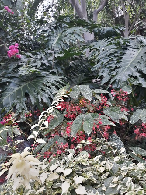 Barbican Water Gardens