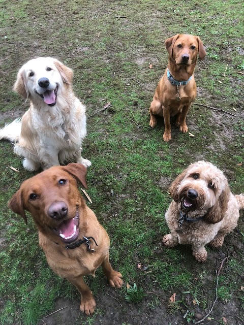 Caversham Canine Club