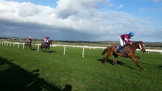 Naas Racecourse