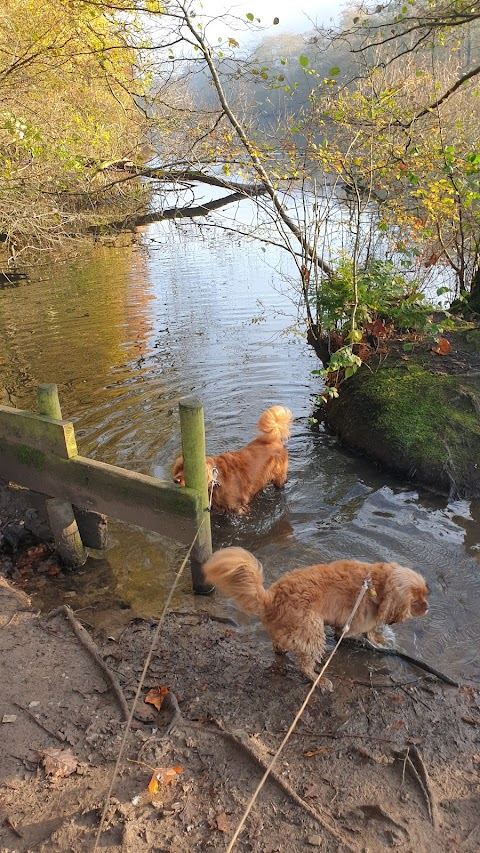 Keg Pool, Etherow