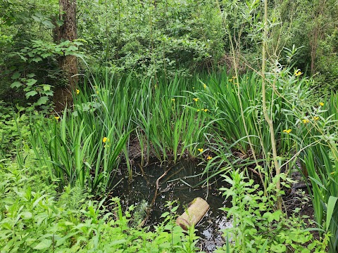 Walgrave Pocket Park