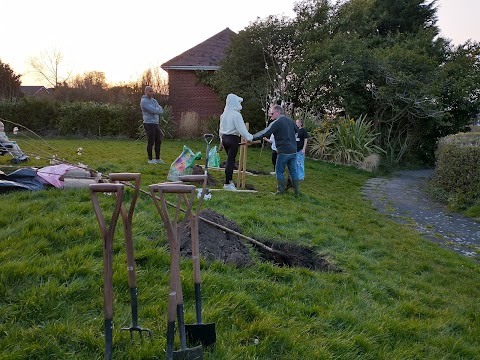 Bromley Farm Park