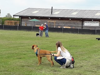 The Dog Barn