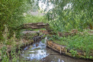 Blewbury Water Garden