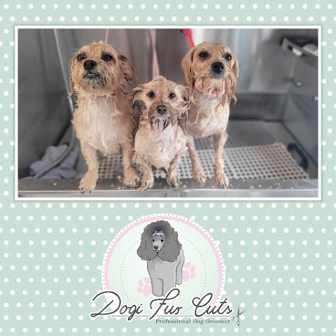 Dogi Fur Cuts @ Blidworth