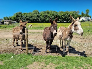 The Tamar Valley Donkey Park