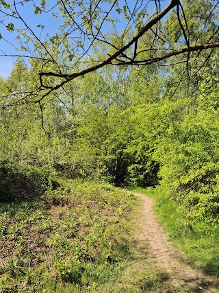 Highfield Country Park