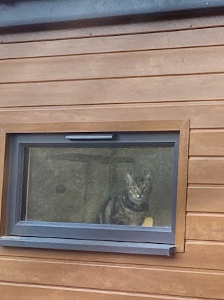 Hall Park Barn Cattery