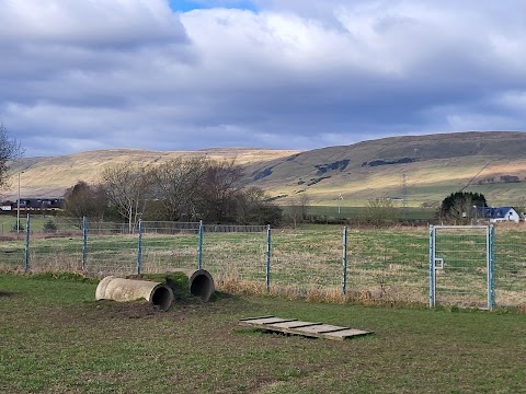 Out 'n' About Scotland Dog Walking