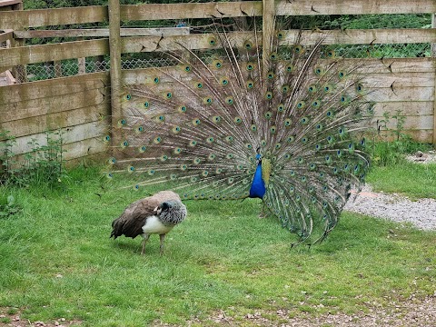 South Lakes Safari Zoo