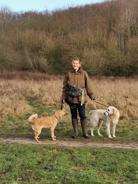 Lead the Way - Dog Walking and Pet Care Services