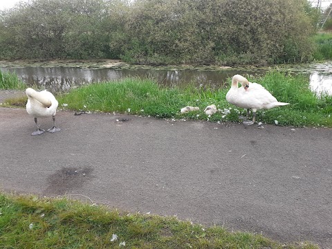 Possil Marsh