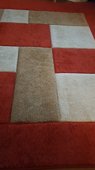 Excel Carpet Cleaning