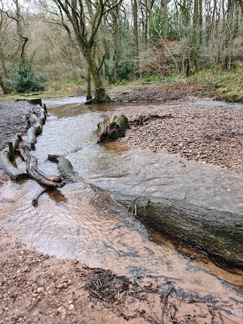 National Trust - Downs Banks