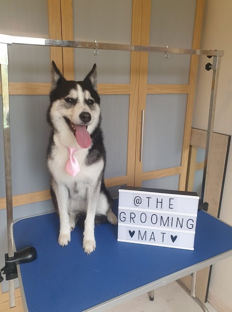 The Grooming Mat