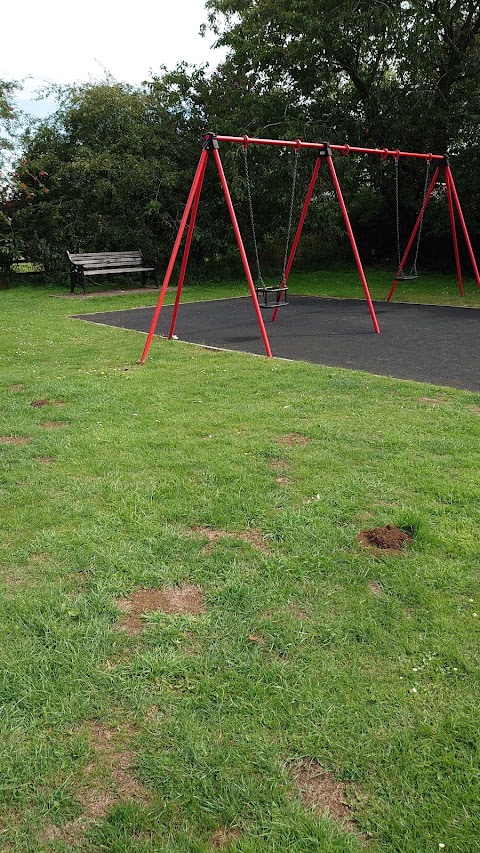 Staverton Children's Park