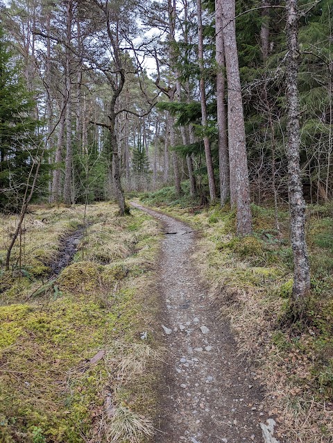 Heart of Scotland Tours