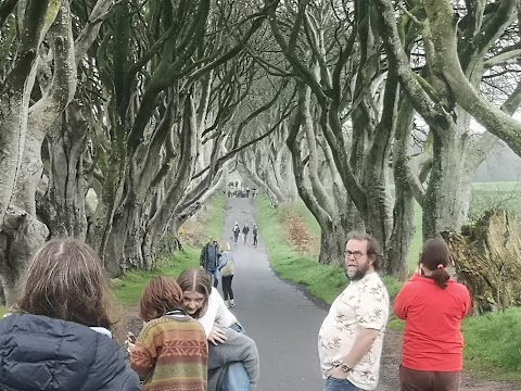 Giants Causeway Tours