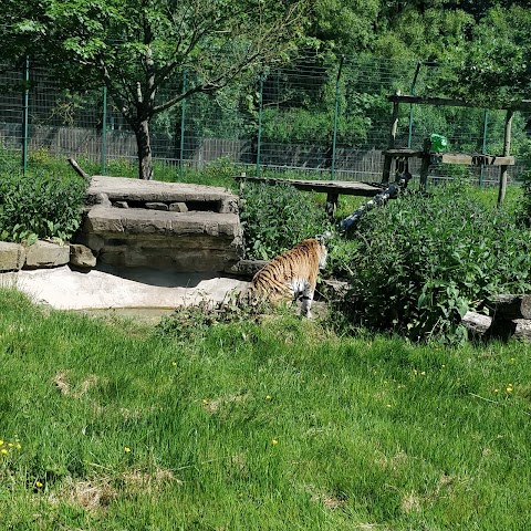 Blackpool Zoo