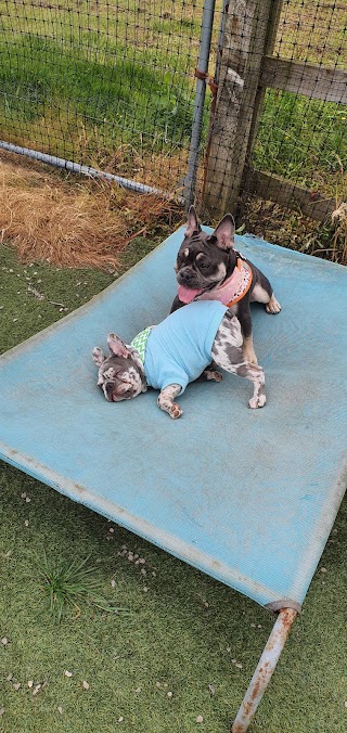 Keepers Boarding Kennels