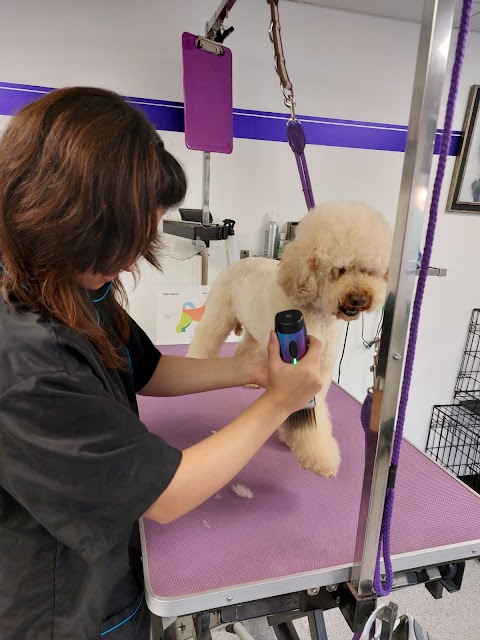 Sue Oliver Dog Grooming Studio