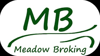 Meadow Broking