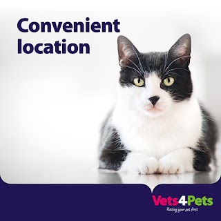 Vets4Pets - Lichfield