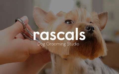 Rascals Dog Grooming Studio