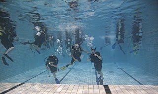 Northampton Scuba School