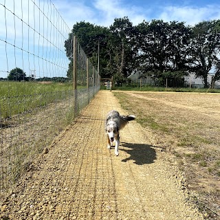 Paw Paddock - Fareham