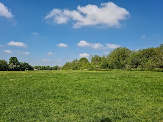 Chesham Moor