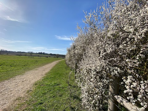 Bowthorpe Southern Park