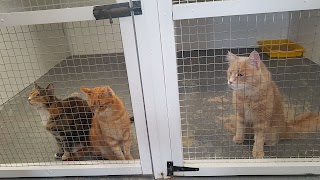 Hickmerelands Cattery