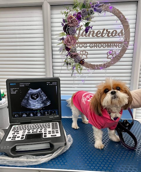 Janeiros Dog Grooming And Ultrasound Scan