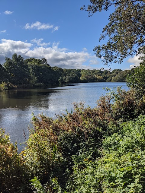 Allestree Park Lake