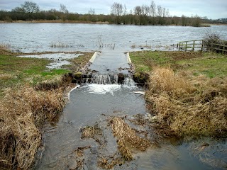 Summer Leys Nature Reserve