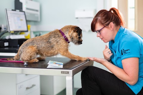 St George's Vets - Wolverhampton Consulting Centre