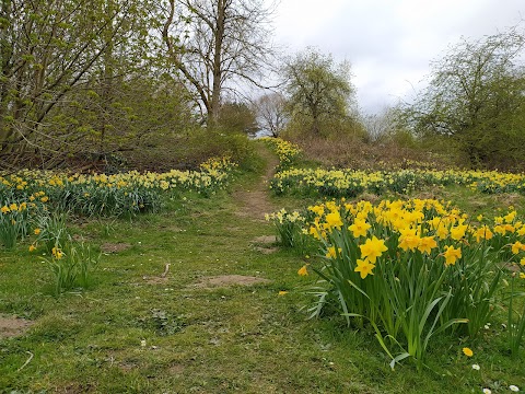 Almondell & Calderwood Country Park Visitor Centre