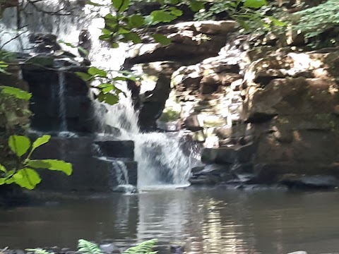 Longford Waterfall | Y Cwm