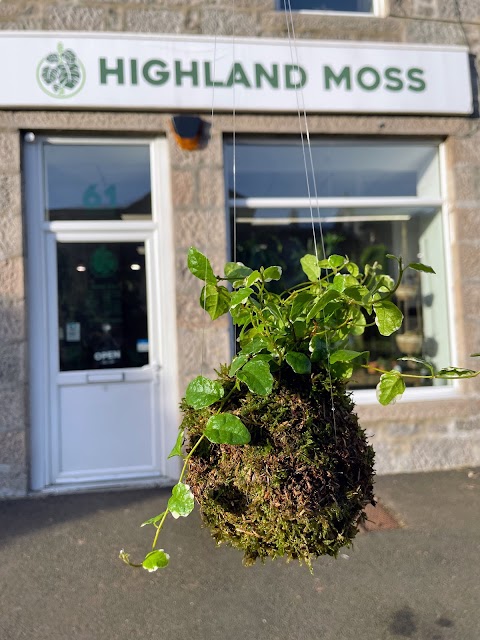 Highland Moss