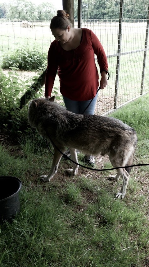 Heythrop Zoological Gardens