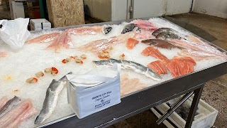 Granite City Fish Ltd