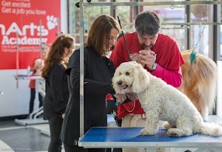 GroomArts Dog Grooming Academy | Hertfordshire